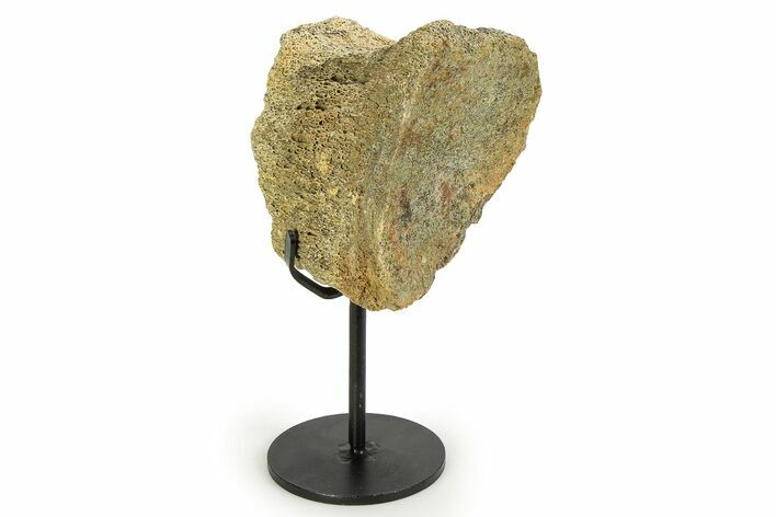 Fossil Hadrosaur Vertebra Section w/ Metal Stand - South Dakota #350606